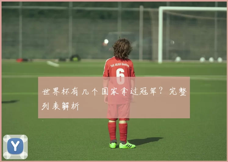 世界杯有几个国家拿过冠军？完整列表解析
