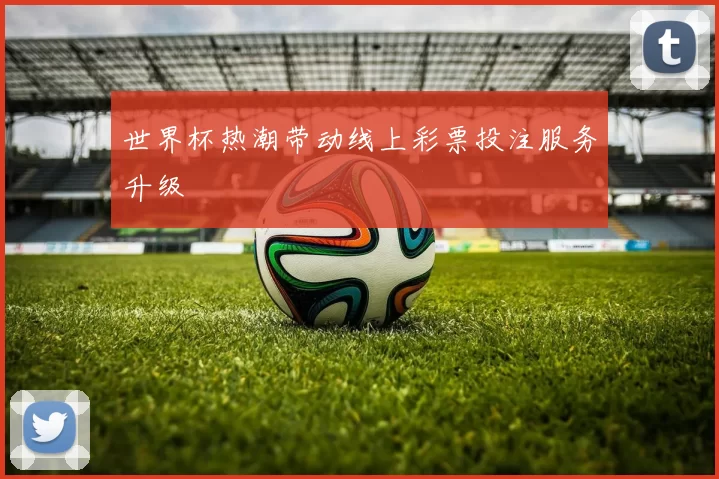 世界杯热潮带动线上彩票投注服务升级