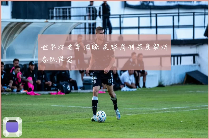 世界杯名单揭晓 足球周刊深度解析各队阵容