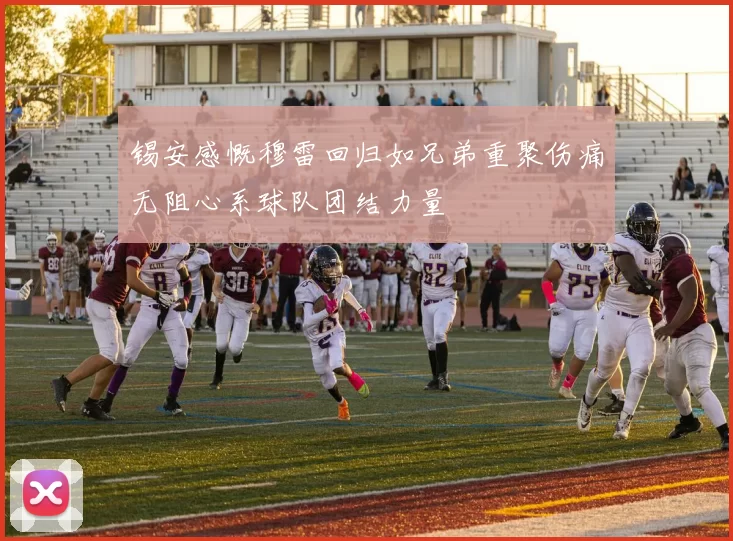 锡安感慨穆雷回归如兄弟重聚伤痛无阻心系球队团结力量
