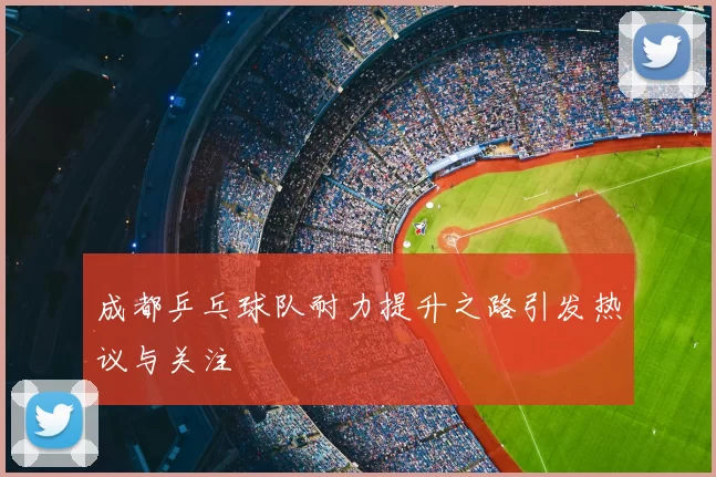 成都乒乓球队耐力提升之路引发热议与关注