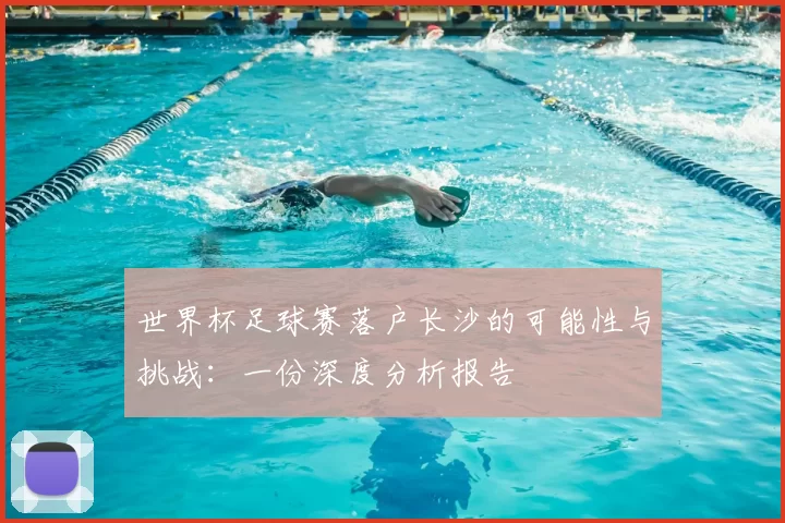 世界杯足球赛落户长沙的可能性与挑战:一份深度分析报告