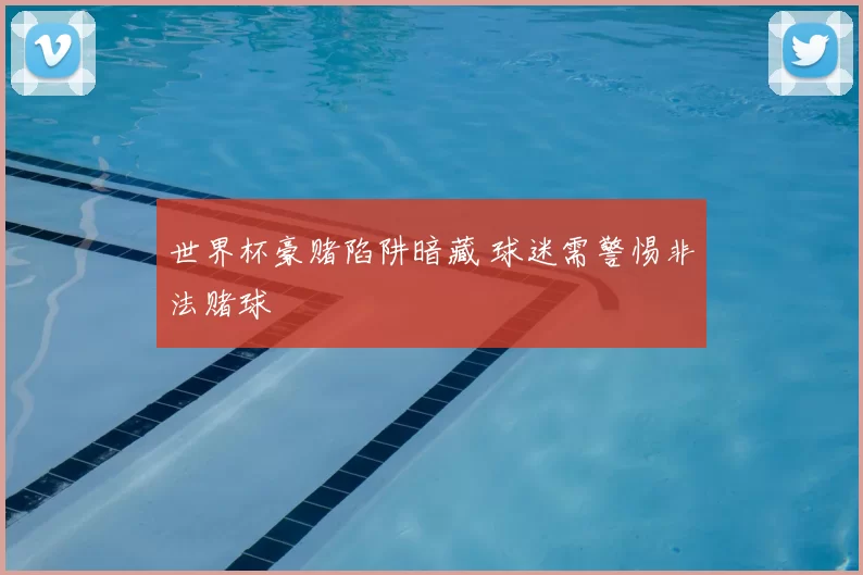 世界杯豪赌陷阱暗藏 球迷需警惕非法赌球
