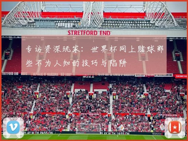 专访资深玩家：世界杯网上赌球那些不为人知的技巧与陷阱