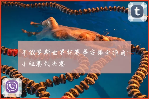 年俄罗斯世界杯赛事安排全指南:小组赛到决赛