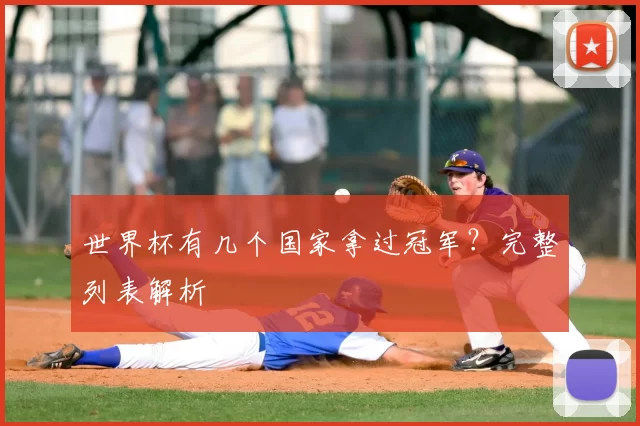 世界杯有几个国家拿过冠军?完整列表解析