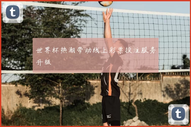 世界杯热潮带动线上彩票投注服务升级